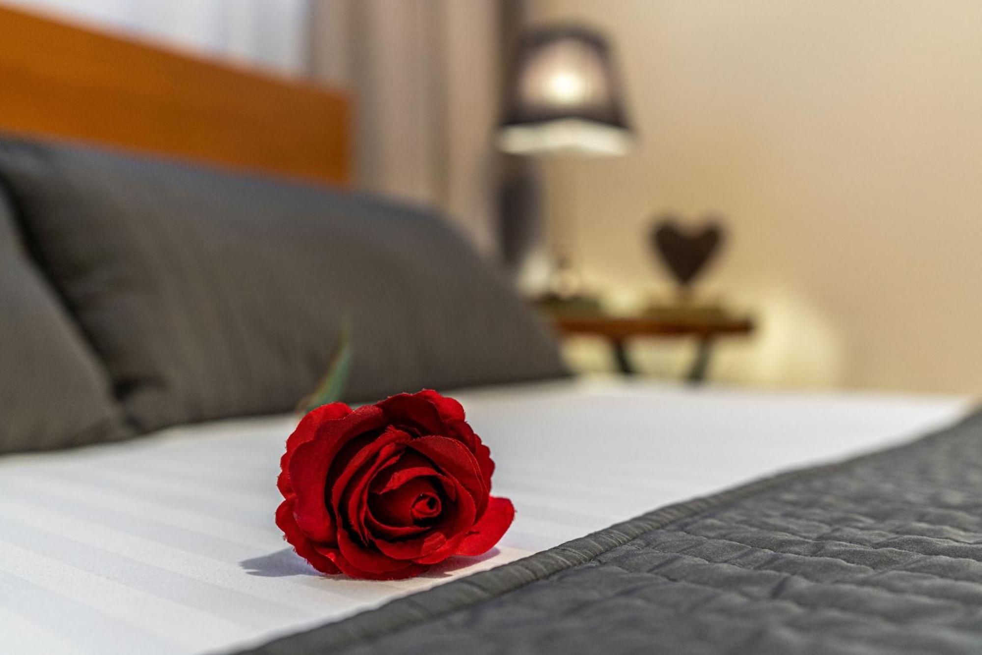 Liberta Inn - Pokoje Goscinne ซาโกปาเน ภายนอก รูปภาพ